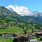 Krokus Apt-t By Interhome Wengen
