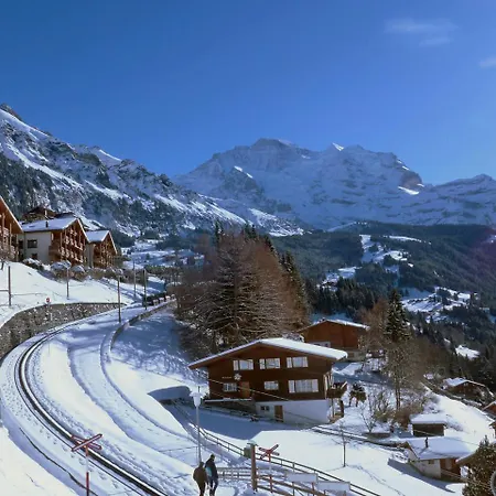 Studio Krokus Apt-T By Interhome Apartment Wengen