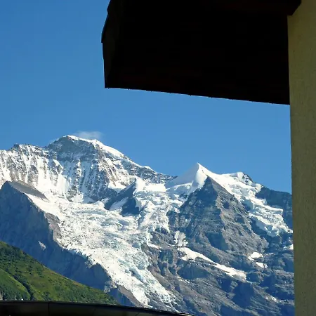 Krokus Apt-t By Interhome Appartamento *