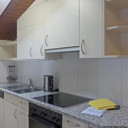 Krokus Apt-t By Interhome Appartamento Wengen