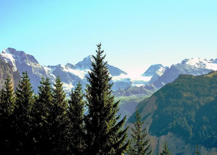 Krokus Apt-t By Interhome *