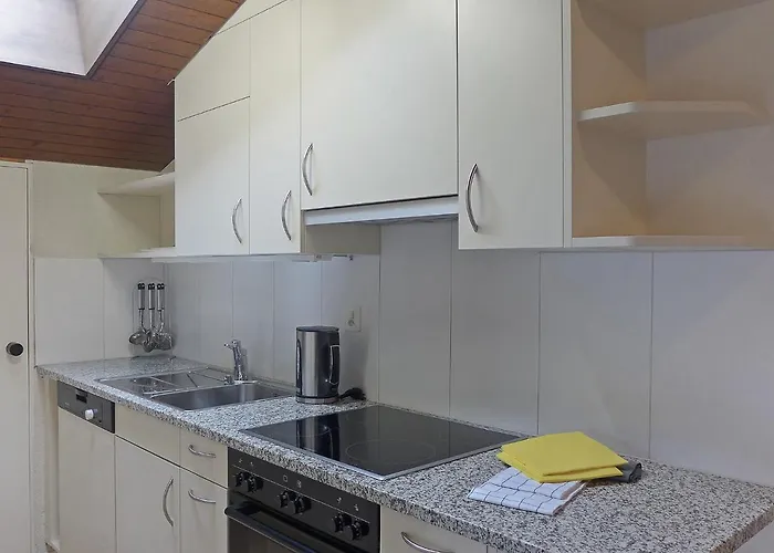 Krokus Apt-t By Interhome Apartman Wengen